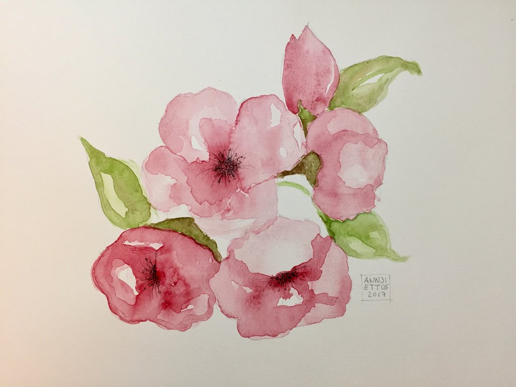 1024x768 Pink Watercolor Flowers By 8annett8