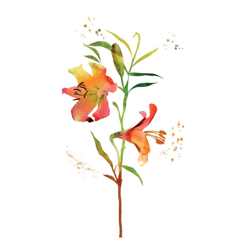 800x800 Wallpops! Home Decor Line Watercolor Flowers Wall Decal Wayfair