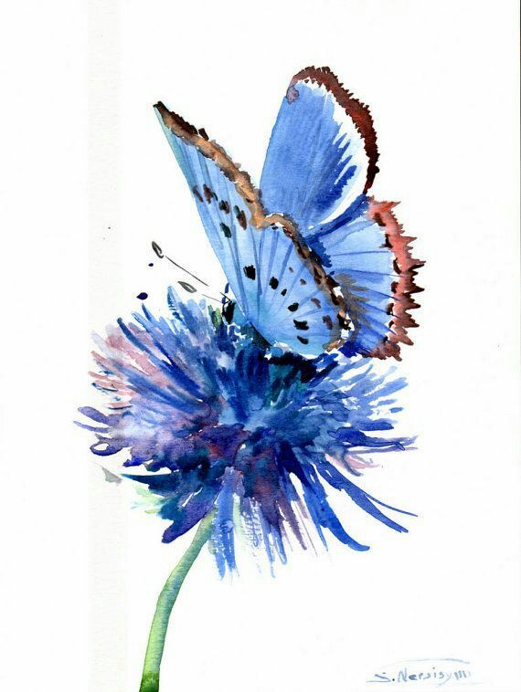 570x758 Stunning Watercolor Flower And Butterfly Watercolor