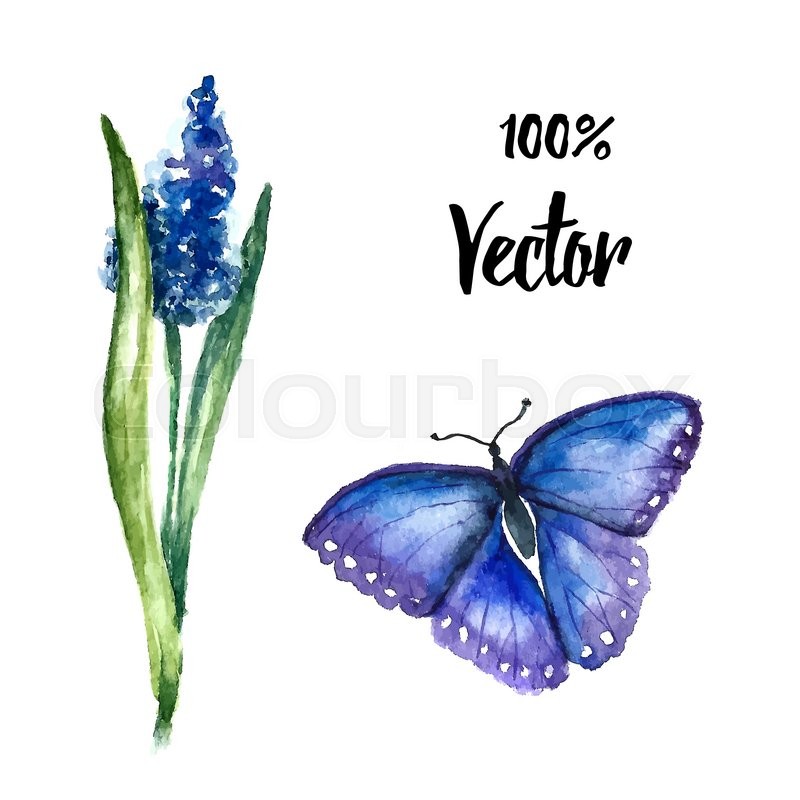 800x800 Watercolor Flowers Lupin. Floral Element Blossoming Lupins And