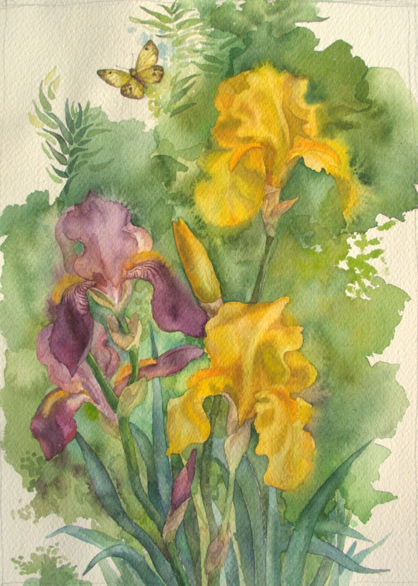 857x1200 Butterfly (Kotomuzart)