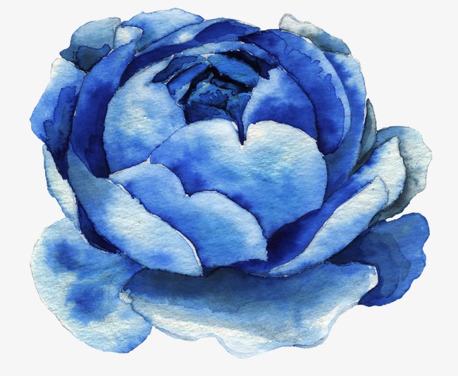 650x533 Blue Watercolor Flowers, Watercolor Clipart, Flowers, Plant Png