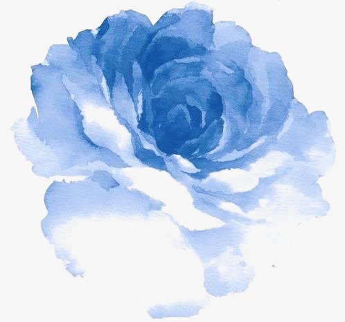 498x465 Blue Watercolor Flowers, Watercolor Clipart, Watercolor Flowers