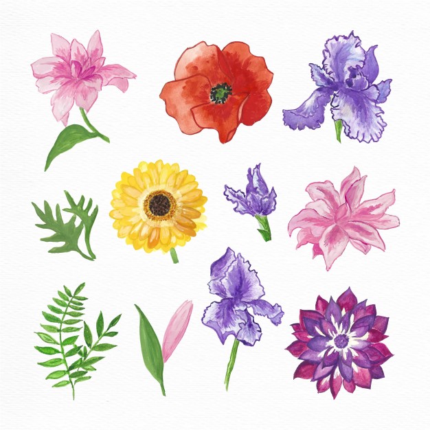 626x626 Hand Painted Watercolor Flowers Collection Vector Free Download
