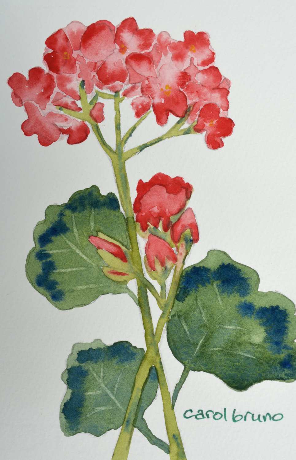 965x1500 Watercolor Painting For Beginners Unique Easy Watercolor Paintings