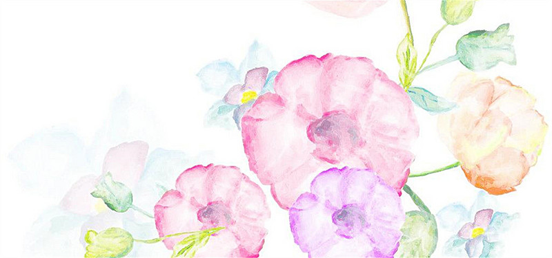800x375 Pink Watercolor Flowers Background, Pink, Romantic, Watercolor