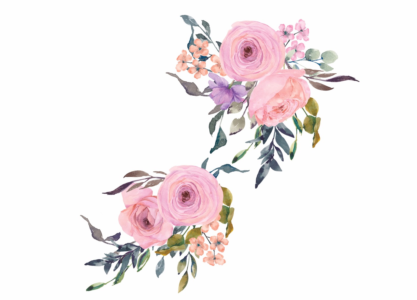 1400x1007 Pink Amp Blush Watercolor Flowers Clipart Art By Patishop Art