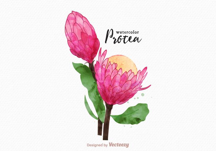 700x490 Watercolor Flower Free Vector Art 8,557 Free Amp Beautiful Files