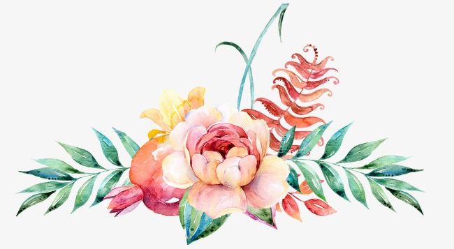 650x357 Watercolor,flowers,decoration,,pomegranate,watercolor Clipart