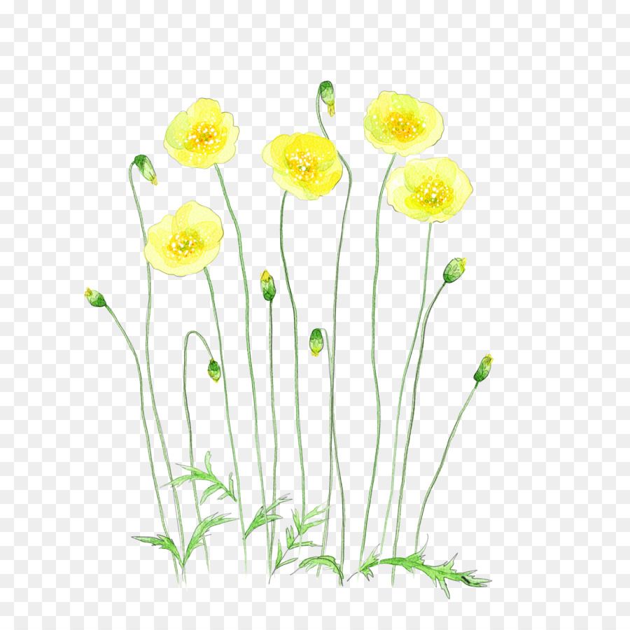 900x900 Download Flower Watercolor Painting Illustration Yellow Watercolor