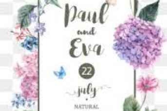 343x228 Free Flower Watercolor Vector