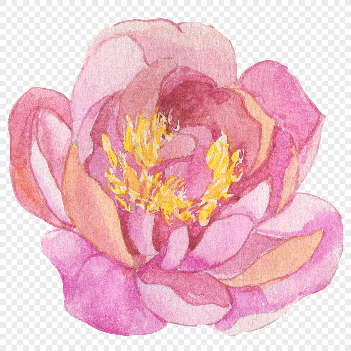 1220x1220 Watercolor Flowers Png Image Picture Free Download