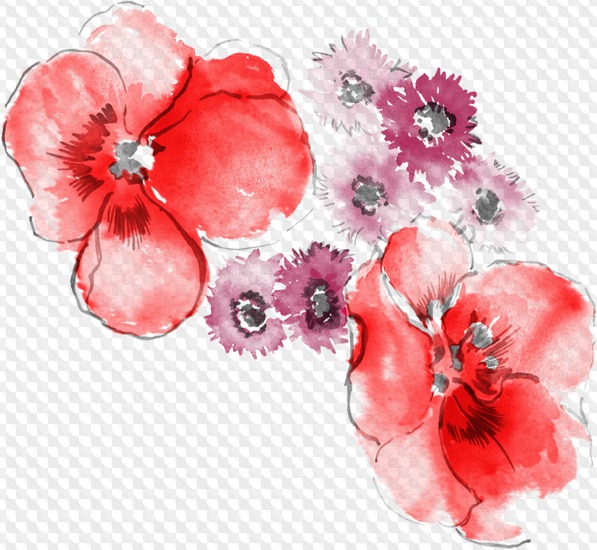 597x550 Psd, 6 Png, Watercolor Flowers, Transparent Png Images