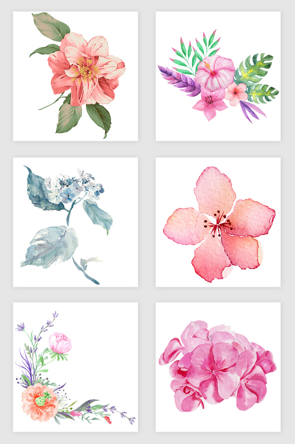 1024x1540 Flower Watercolor] Png Images,vector And Psd Free