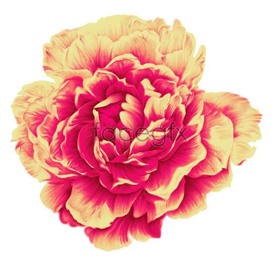 550x530 Watercolor Flowers Flowers Psd Over Millions Vectors, Stock