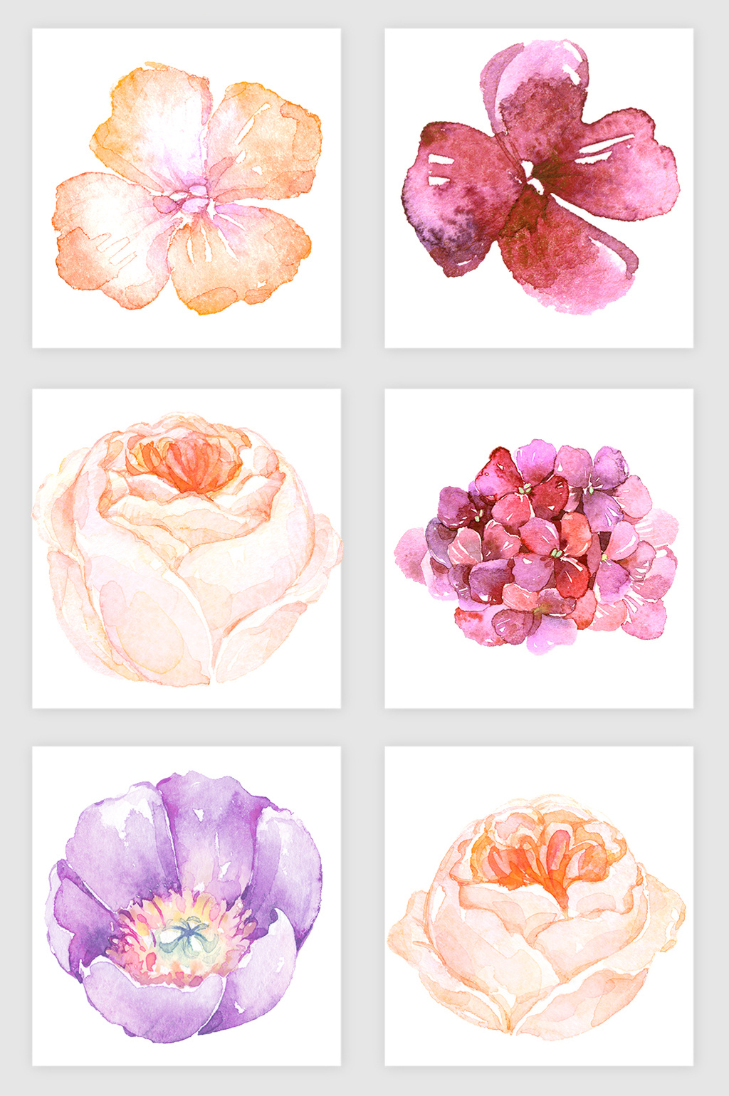 1024x1540 Watercolor Flower] Png Images,vector And Psd Free