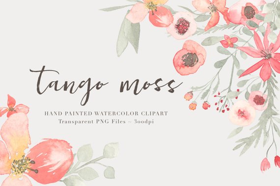 570x380 Tango Watercolor Flowers Clipart Files High Res Transparent Etsy