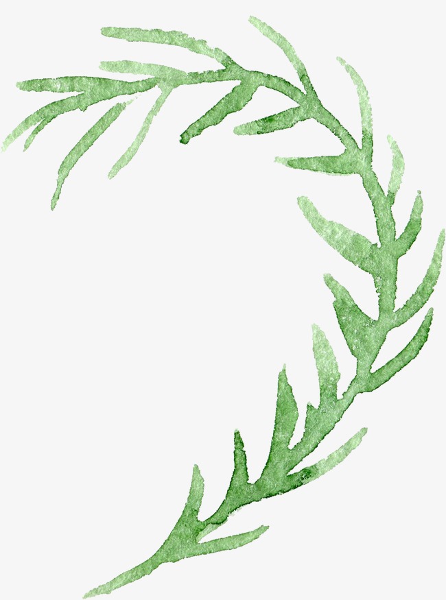 650x875 Transparent Background Floral Botanical Watercolor Flowers