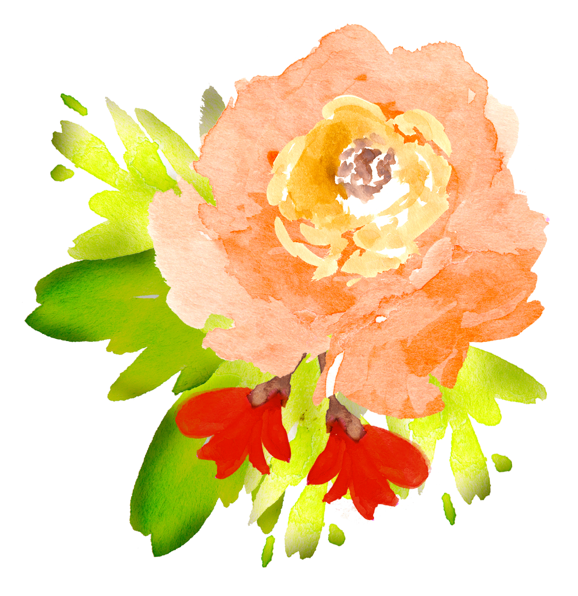 Watercolor Flowers Png No Background Png Mart Images