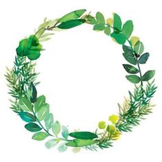 236x236 Images For Floral Wreath With Transparent Background