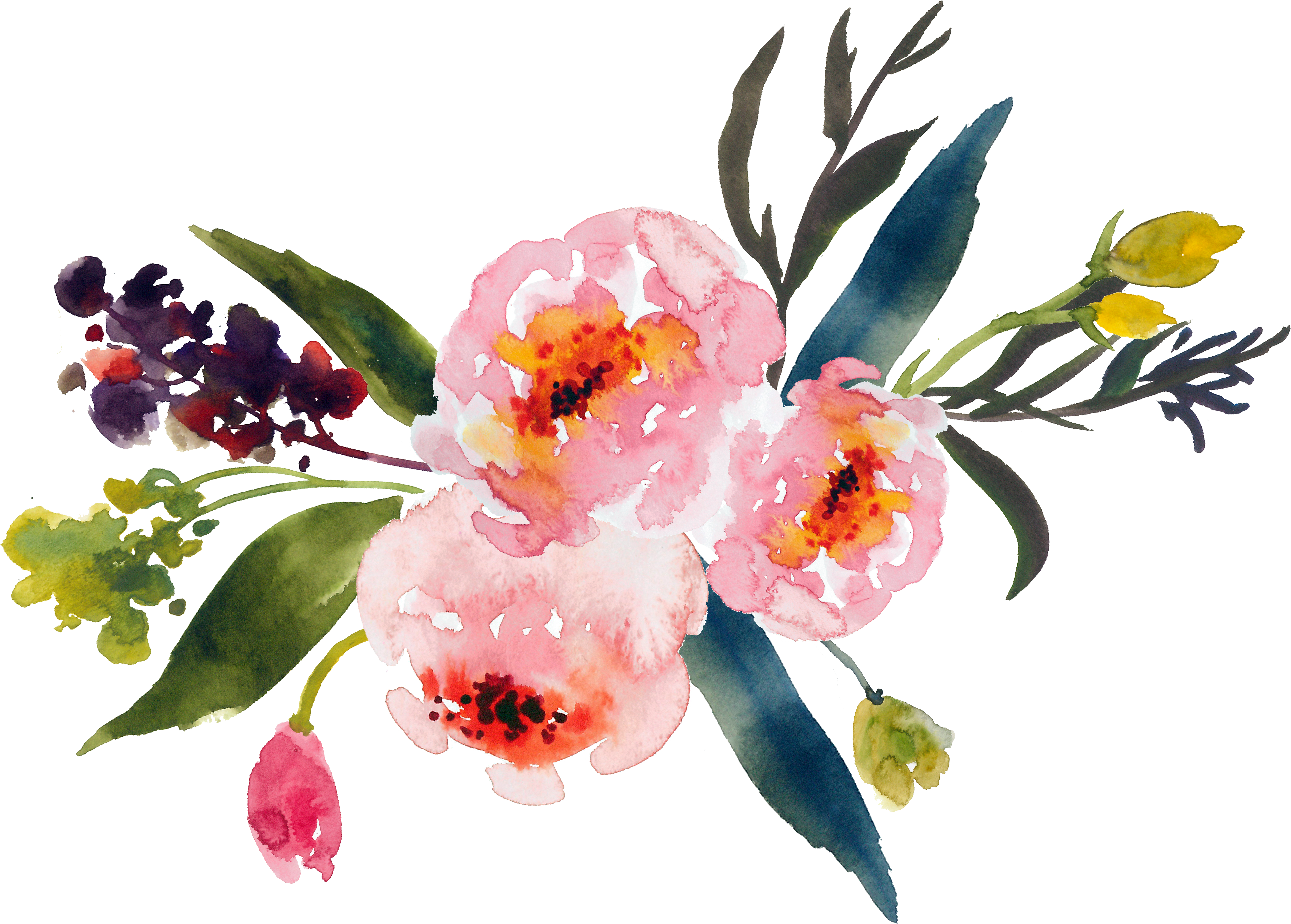 4842x3467 19 Watercolor Flower Graphic Transparent Download Huge Freebie