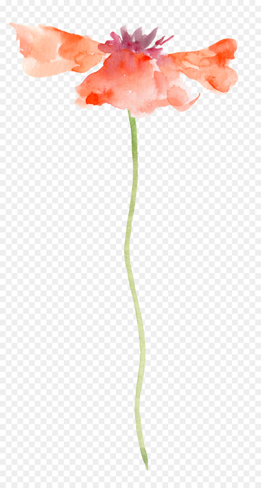 900x1680 Download Watercolour Flowers Painting Flowers Transparent W