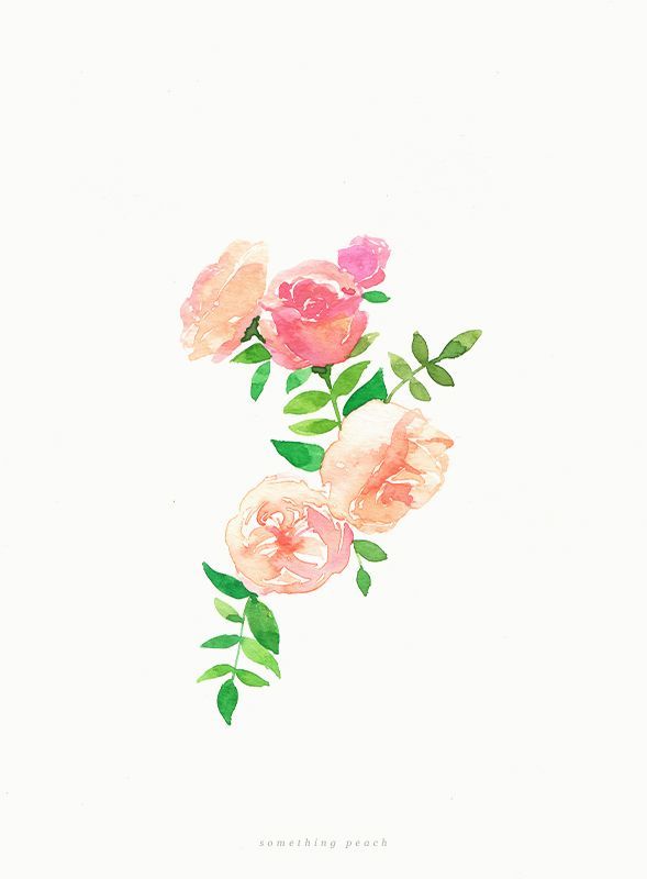 589x800 Watercolor Flowers Deepcoveflowers Tumblr Watercolor Flower