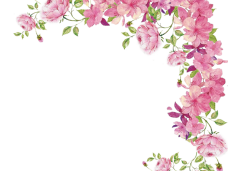 228x171 Watercolor Flowers Png Archives