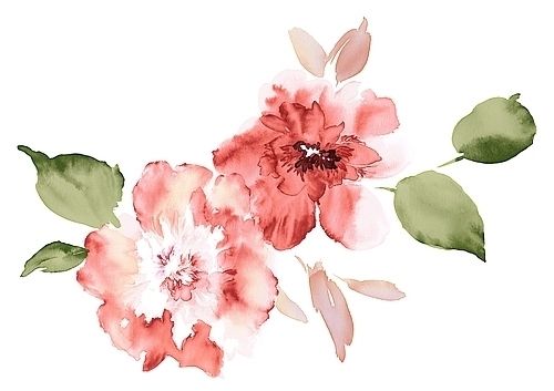 500x353 Flower Tumblr Drawings
