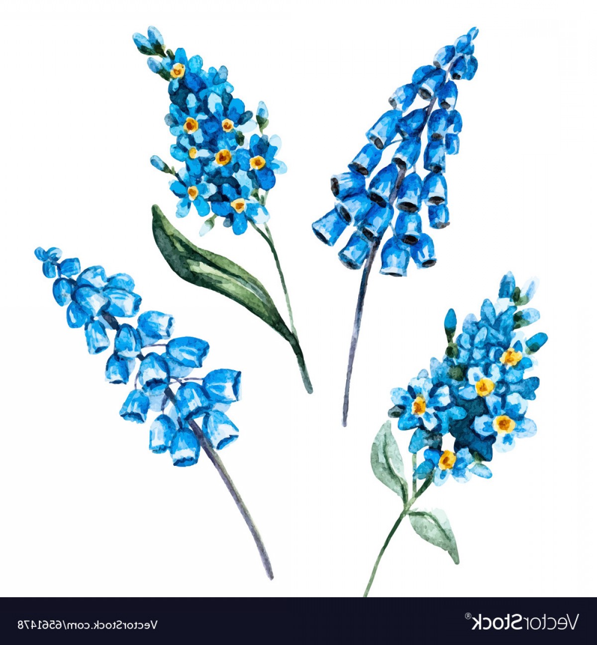 1200x1296 Hand Drawn Watercolor Flowers Vector Arenawp