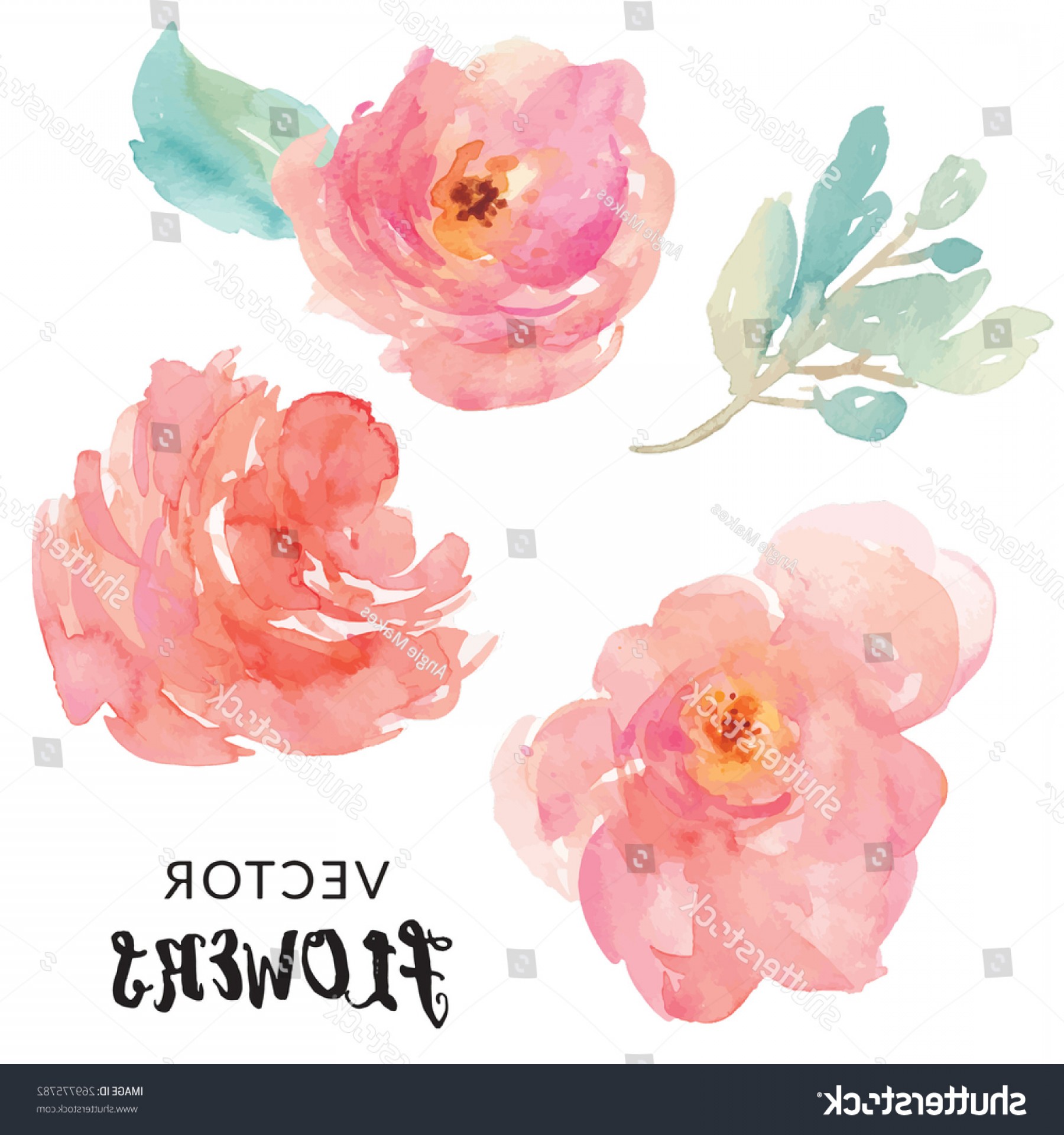 1800x1920 Hand Painted Watercolor Flower Vector Lazttweet