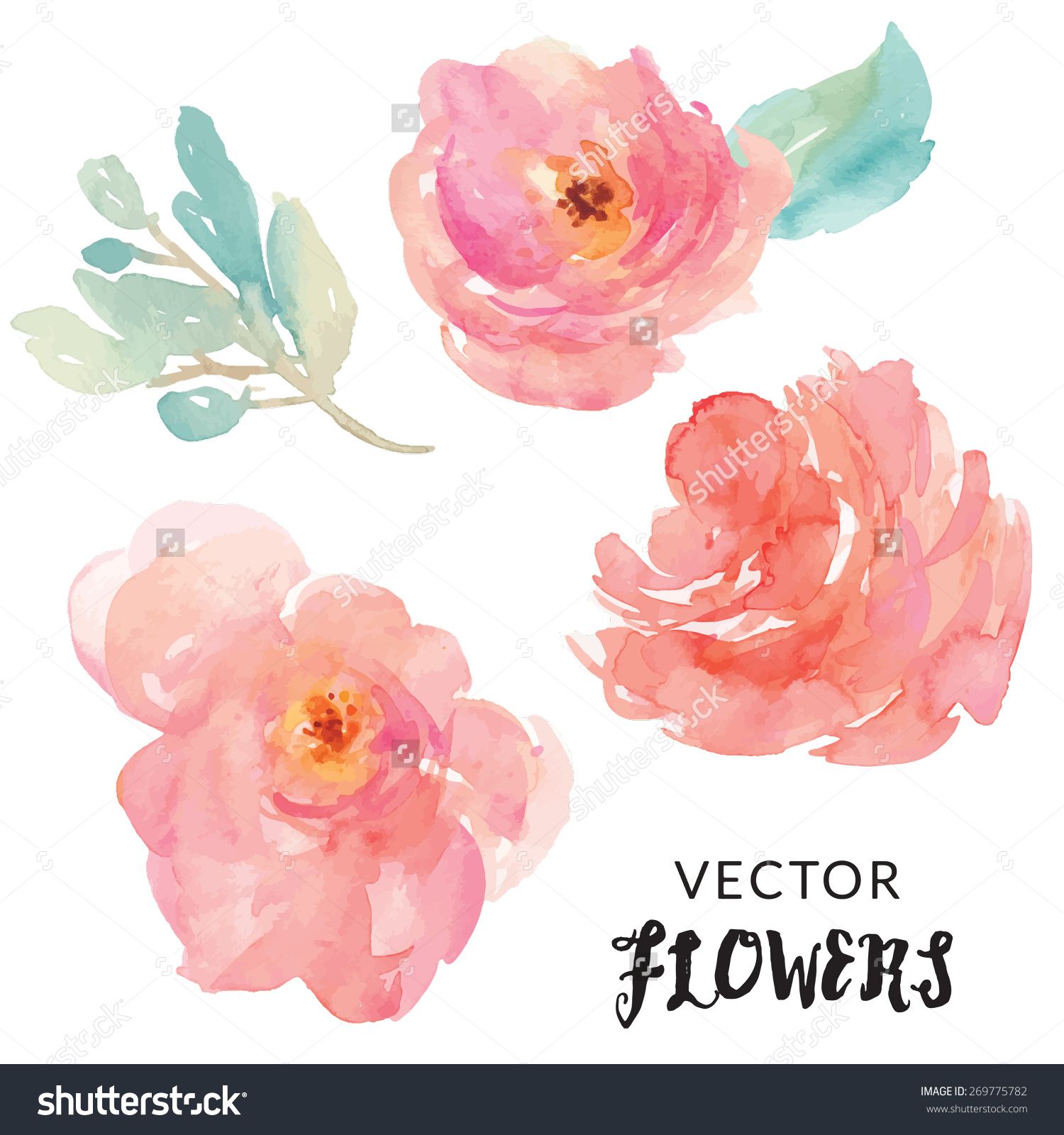1500x1600 Hand Painted Watercolor Flower Vector. Watercolor Vector Flowers