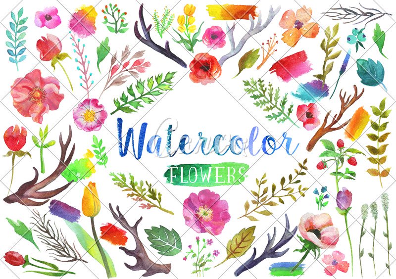 800x564 Vector Watercolor Aquarelle Flowers