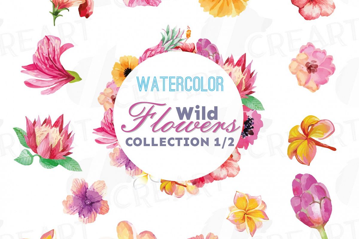 1200x800 Watercolor Wild Flowers Clip Art Pack, Exotic Watercolor Flowers