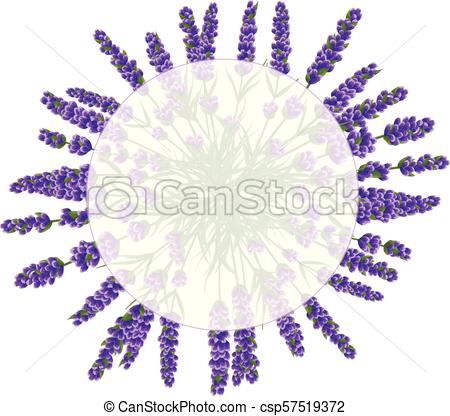 450x416 Background Of Purple Lavender Flowers, Watercolor Flowers Style