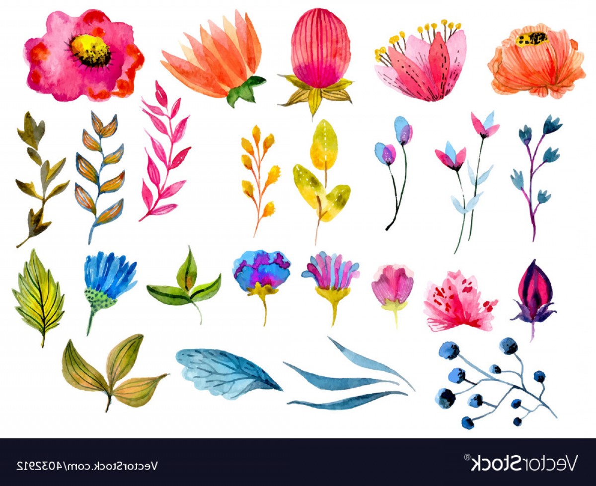 1200x979 Beautiful Watercolor Flower Set Vector Lazttweet