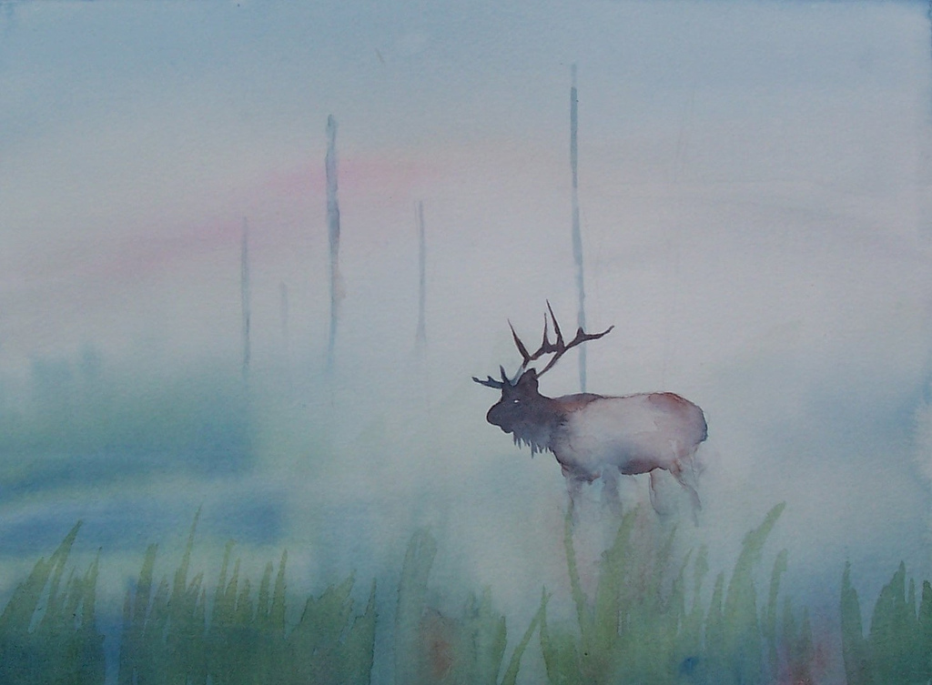 1024x753 Elk In Fog Watercolor 11x15 I Was Trying To Capture