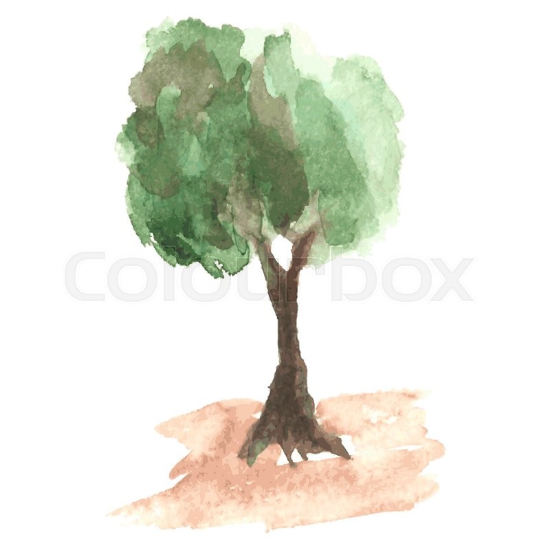 800x800 Airy Watercolor Tree With Green Foliage Which Flutters On A Wind