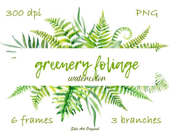 570x452 Greenery Leafy Clipart Set Watercolor Foliage Wildflowers Etsy