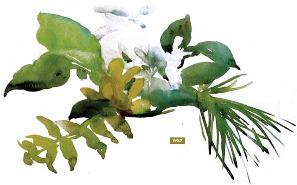 600x374 How To Paint A Watercolor Floral Still Life Step By Step Artist