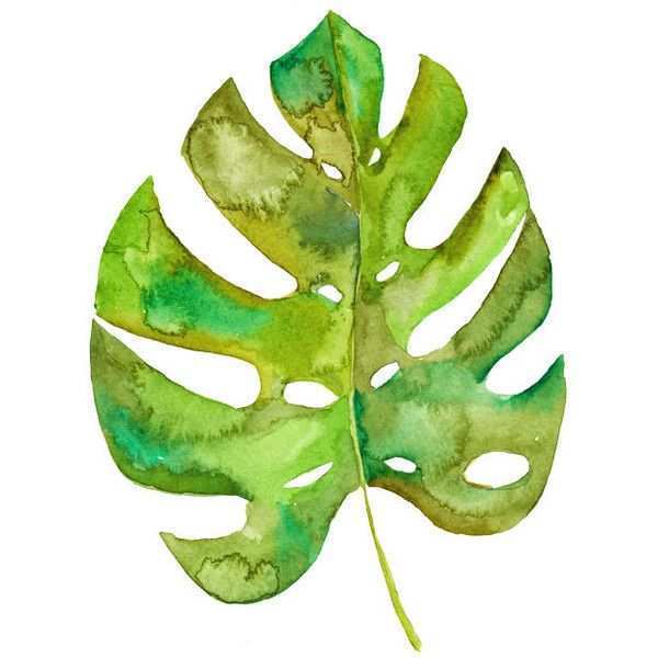 600x600 Leaves Painting Inspirational 454 Best Watercolor Foliage Images