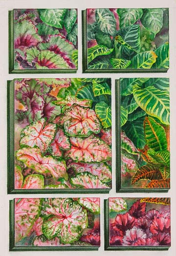 360x524 Paint Colorful Tropical Foliage In Watercolor