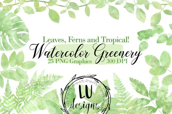 570x380 Watercolor Greenery Clipart Watercolor Foliage Green Leaves Etsy