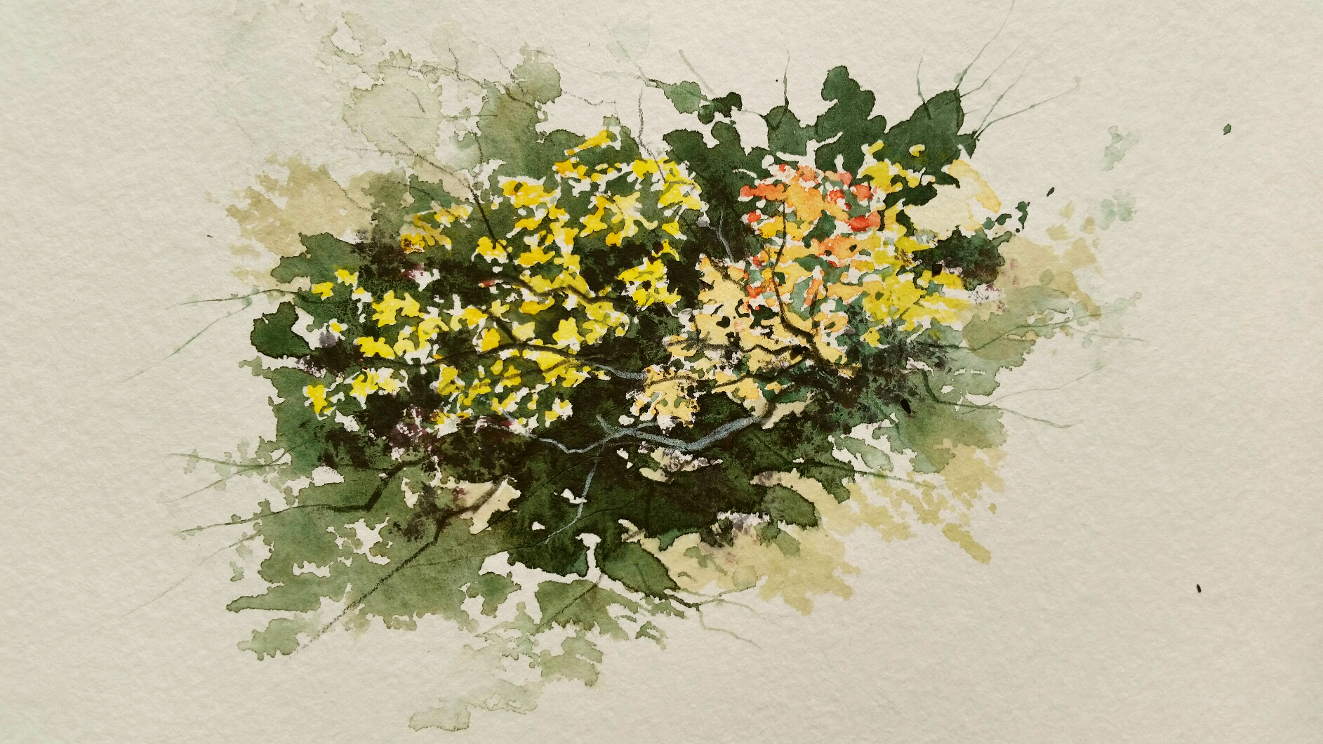 1885x1060 Fall Foliage Recollections 54 The Art Of David Tripp