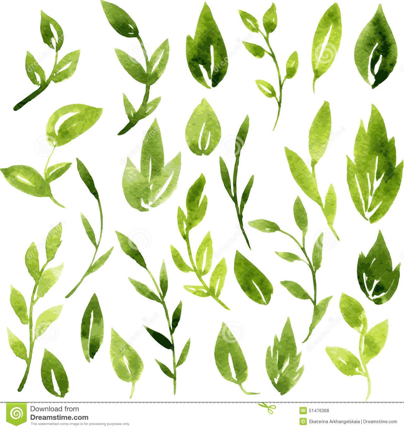 1300x1384 Watercolor Foliage