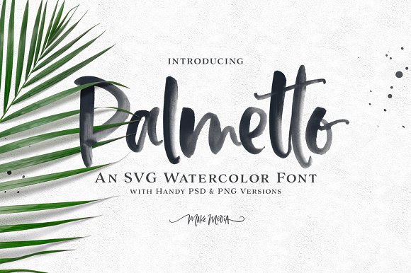 580x386 Palmetto Svg Font