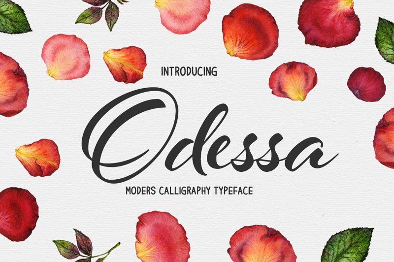 800x532 Modern Calligraphy Script Font Download Digital Font Etsy