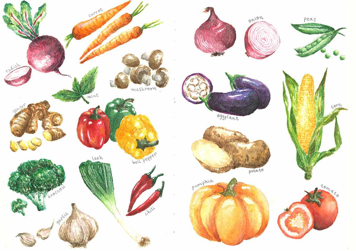 1200x846 ~ Guest Artist My Insatiable Appetite For Watercolor