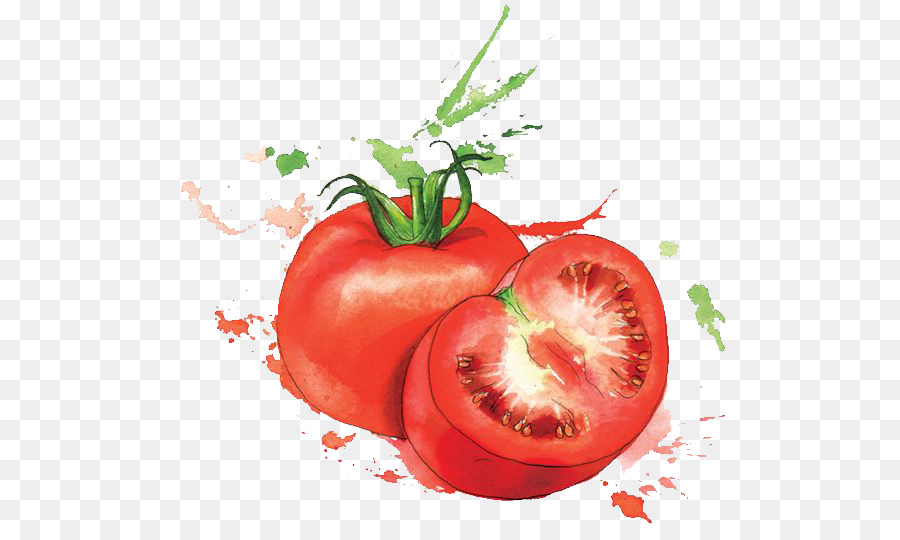 900x540 Watercolor Painting Food Art Illustration