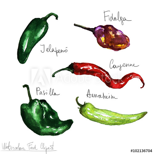 500x500 Watercolor Food Clipart